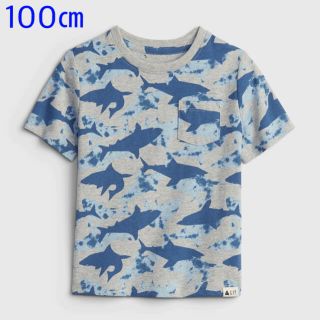 ベビーギャップ(babyGAP)の🍧『新品』babyGap organic cotton 半袖Tシャツ 100㎝(Tシャツ/カットソー)
