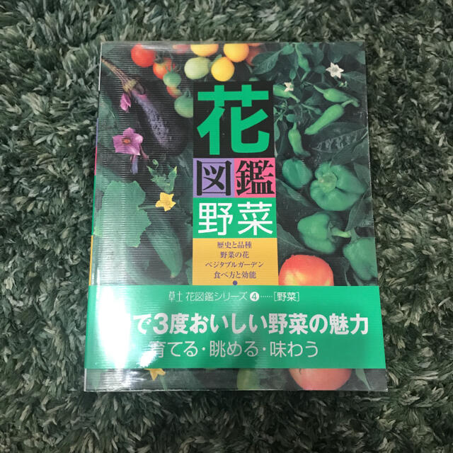 花図鑑 野菜 エンタメ/ホビーの本(その他)の商品写真