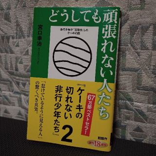 どうしても頑張れない人たち ケーキの切れない非行少年たち　２(文学/小説)