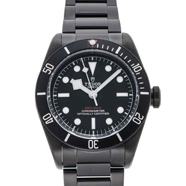 Tudor ブラックベイダーク