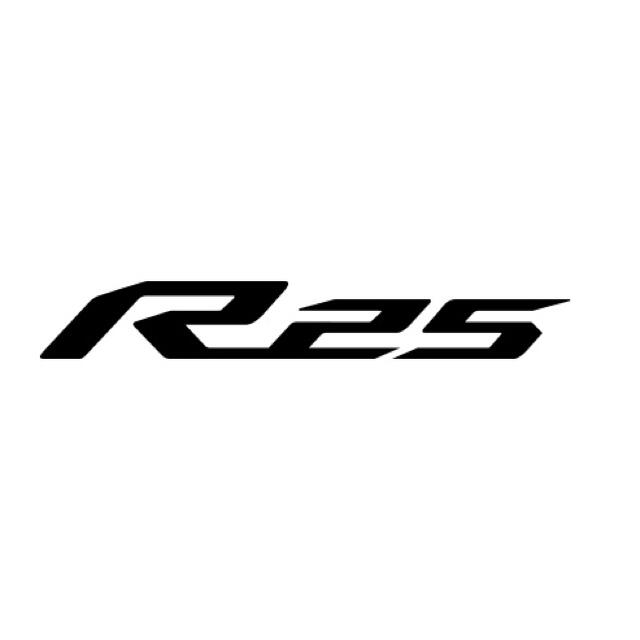 ヤマハ(ヤマハ)の色変更可能★YZF-R25 ロゴ　切り抜きステッカー 2枚セット 自動車/バイクのバイク(ステッカー)の商品写真