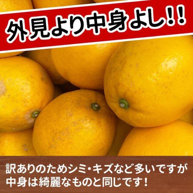 愛媛県産　宇和ゴールド　訳あり　7.5kg 食品/飲料/酒の食品(フルーツ)の商品写真