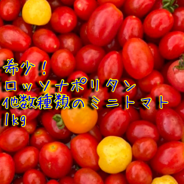 【希少】極甘ミニトマト詰め合わせ1kg コンパクト便 食品/飲料/酒の食品(野菜)の商品写真