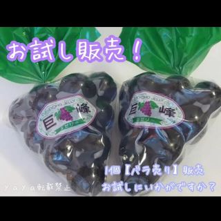 即購入OK◎ お試し販売！巨峰玉ゼリー×1個【バラ売り】(菓子/デザート)