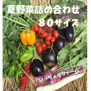 aqua様専用　夏を感じる野菜の詰め合わせ　８０サイズにて(野菜)