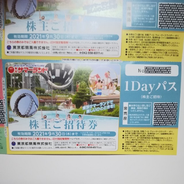 東京サマーランド　1Dayパス　１冊