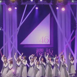 ケヤキザカフォーティーシックス(欅坂46(けやき坂46))の坂道G関連商品【専用】(その他)