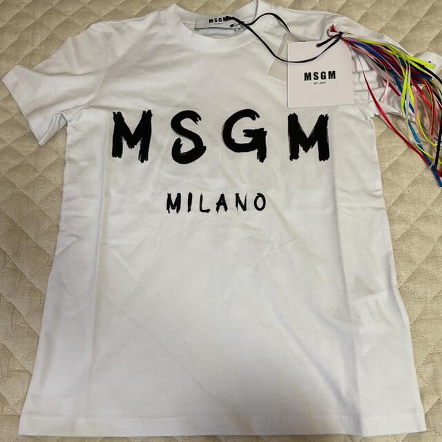 MSGM(エムエスジイエム)のMSGM Tシャツ　エムエスジーエム レディースのトップス(Tシャツ(半袖/袖なし))の商品写真