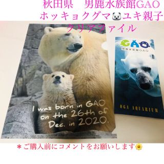 男鹿水族館GAO ホッキョクグマ　ユキ親子　クリアファイル　非売品(クリアファイル)