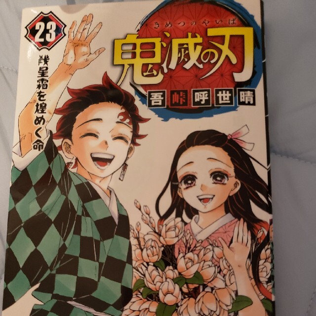 よしお様専用☆鬼滅の刃 ２２と２３ エンタメ/ホビーの漫画(その他)の商品写真