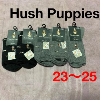 ハッシュパピー(Hush Puppies)のHush Puppies ハッシュパピー 靴下　5足組　④(ソックス)