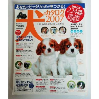 ガッケン(学研)の犬のカタログ 世界の犬２２４種のすべてがわかる！ ２００７(住まい/暮らし/子育て)