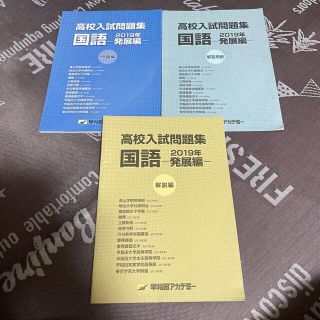 【新品未使用】高校入試問題集　国語　2019年発展編(語学/参考書)