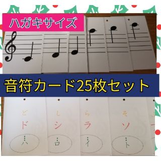 ◎NEW◎ドレミ音符カード25枚　ハガキサイズ(その他)