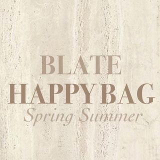 専用　BLATE happybag(その他)