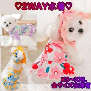 2WAY花柄水着 キャミソールワンピース ラッシュガード 半袖 犬の服 犬帽子(犬)