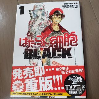 コウダンシャ(講談社)のお値下げ☆はたらく細胞　BLACK1(その他)