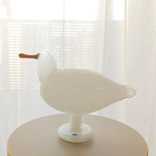 イッタラ(iittala)のSea Mew 1983年 カモメ Oiva Toikka バード 箱なし(置物)