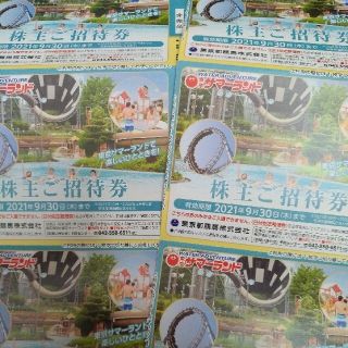 とんた様専用☆東京サマーランドフリーパス６枚☆夏休みとお盆も使えます♪(遊園地/テーマパーク)