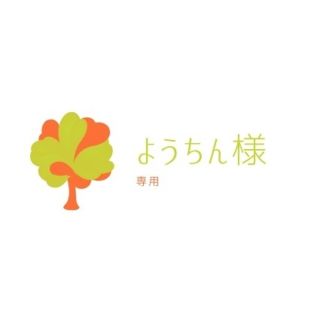 ようちん様専用☆多肉植物(その他)