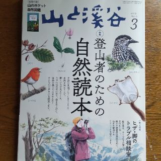 山と渓谷 2019年 03月号(趣味/スポーツ)