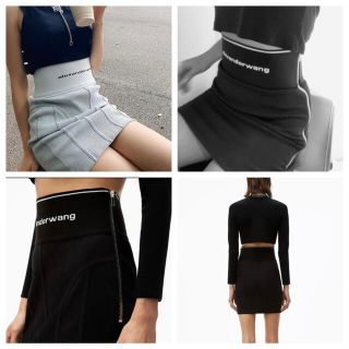 アレキサンダーワン(Alexander Wang)のAlexanderwang アレキサンダーワン　スカート  タイトスカート  (ミニスカート)