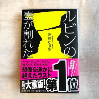 ルビンの壺が割れた (文学/小説)