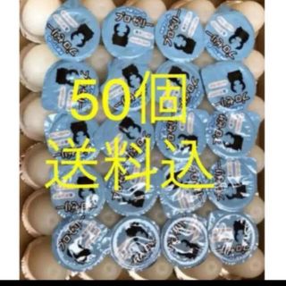 KBファームプロゼリー 16ｇ 50個 純国産 昆虫ゼリー カブトムシ・クワガタ(虫類)