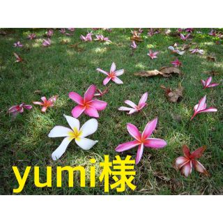 yumi様(リング)