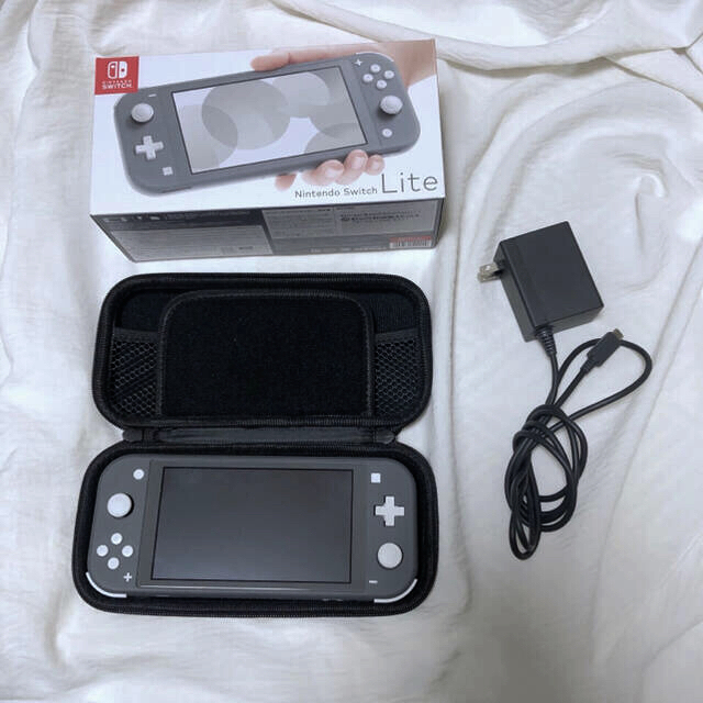 Nintendo Switch Liteグレー ケース ソフト付き