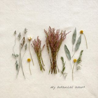 dry botanical /  #1 ドライフラワー 花材 ハンドメイド(ドライフラワー)