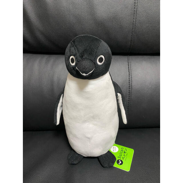 JR(ジェイアール)のSuicaペンギン　ぬいぐるみ　Ｌサイズ エンタメ/ホビーのおもちゃ/ぬいぐるみ(キャラクターグッズ)の商品写真