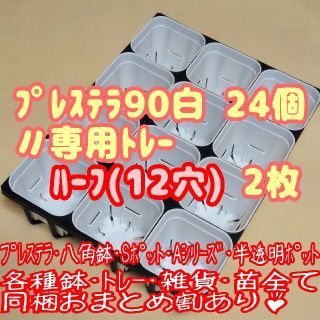 【スリット鉢】プレステラ90白24個＋専用システムトレー：ハーフ2枚プラ鉢多肉(プランター)