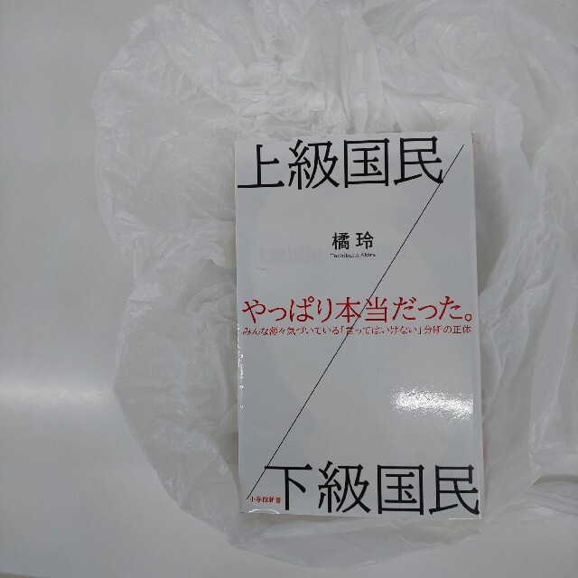 小学館(ショウガクカン)の上級国民／下級国民 エンタメ/ホビーの本(人文/社会)の商品写真