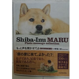 もっと声を聞かせてよ 柴犬まるフォトメッセ－ジ集(文学/小説)