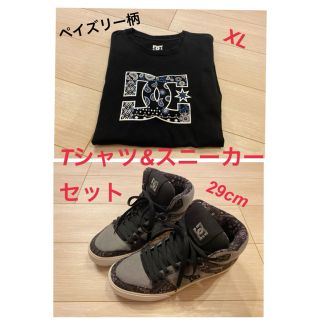 ディーシーシュー(DC SHOE)のDC ハイカットスニーカー&Tシャツ(スニーカー)