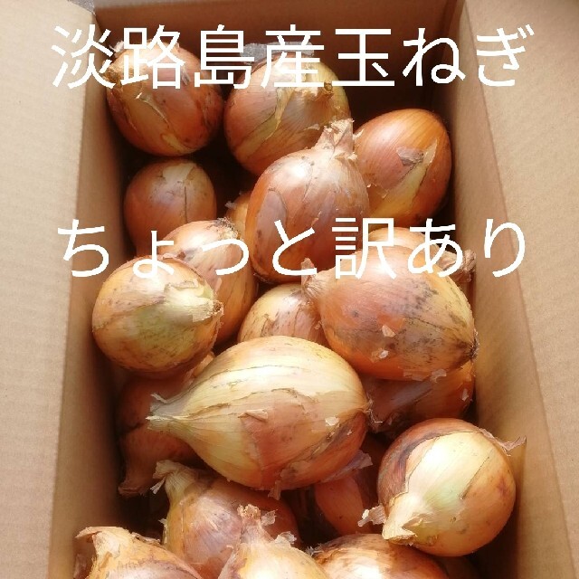 ★訳あり10Kg★淡路島玉ねぎ　たまねぎ　玉葱 食品/飲料/酒の食品(野菜)の商品写真