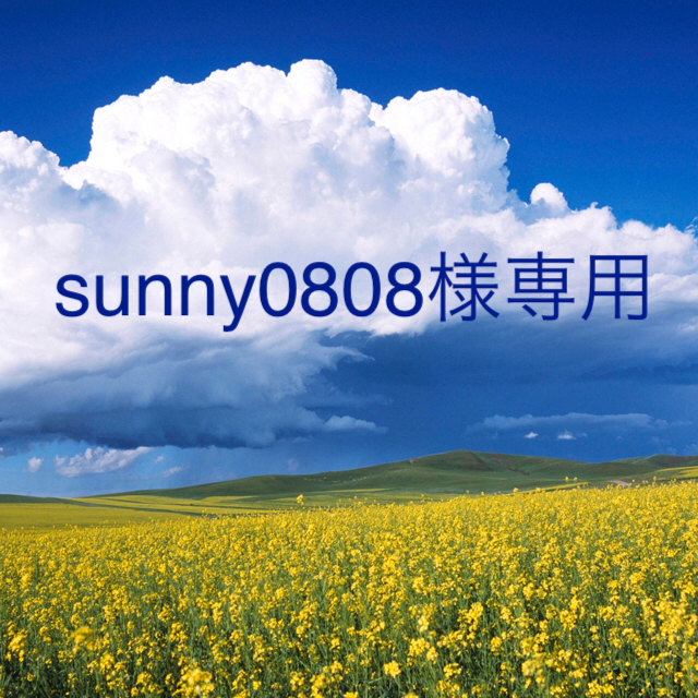 mysty woman(ミスティウーマン)の♡sunny0808様専用♡ レディースのワンピース(ミニワンピース)の商品写真