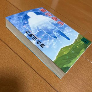 幽霊刑事（デカ）(文学/小説)