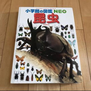 ショウガクカン(小学館)の小学館の図鑑　NEO 昆虫(ノンフィクション/教養)