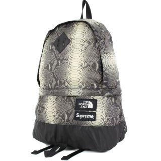 シュプリーム(Supreme)のsupreme  northface Snakeskin 18SS リュック 　(バッグパック/リュック)