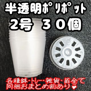 硬質半透明ポリポット 2号 30個 プラ鉢 多肉植物 プレステラ(プランター)