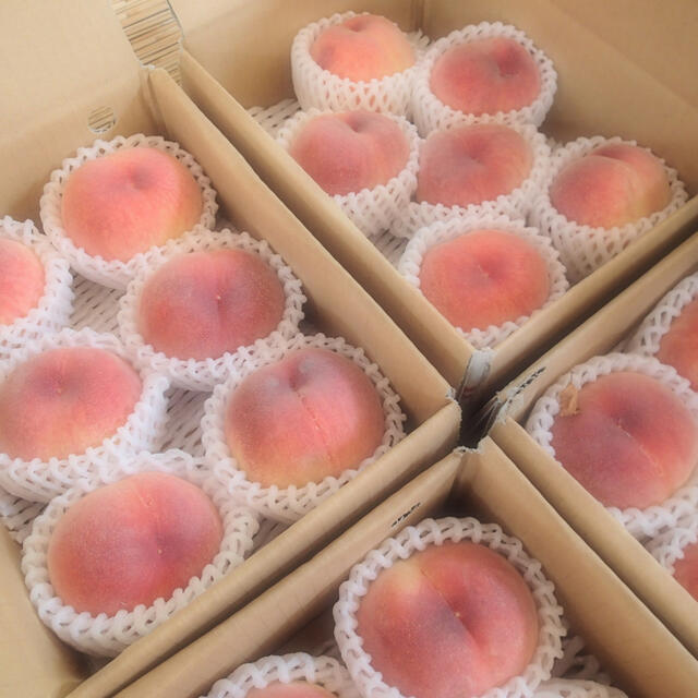 山梨の甘い桃　大玉を2キロの箱に6個入れて発送　限定数箱　ももやのきよし 食品/飲料/酒の食品(フルーツ)の商品写真