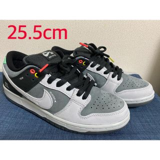 ナイキ(NIKE)のnike sb dunk low pro iso camcorder 25.5(スニーカー)