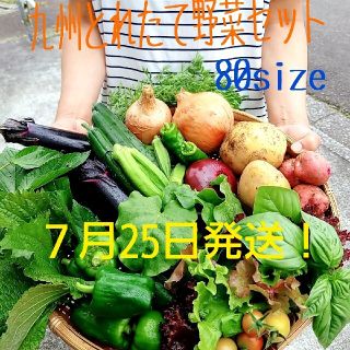 無農薬野菜詰め合わせ　7月25日発送！！(野菜)