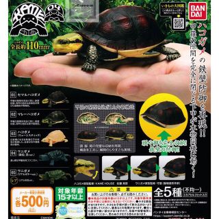 バンダイ(BANDAI)の新品未開封＊ハコガメ　まとめ売り(その他)