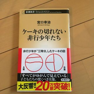 ケーキの切れない非行少年たち(その他)