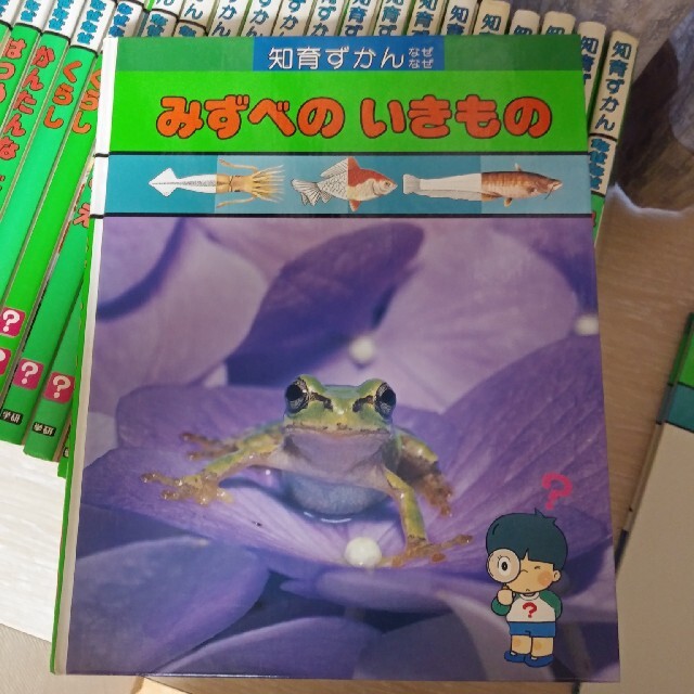 ◆学研知育図鑑なぜなぜ24巻