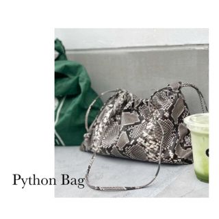 アパルトモンドゥーズィエムクラス(L'Appartement DEUXIEME CLASSE)の【GOOD GRIEF!/グッドグリーフ】Python Clutch Bag(ショルダーバッグ)