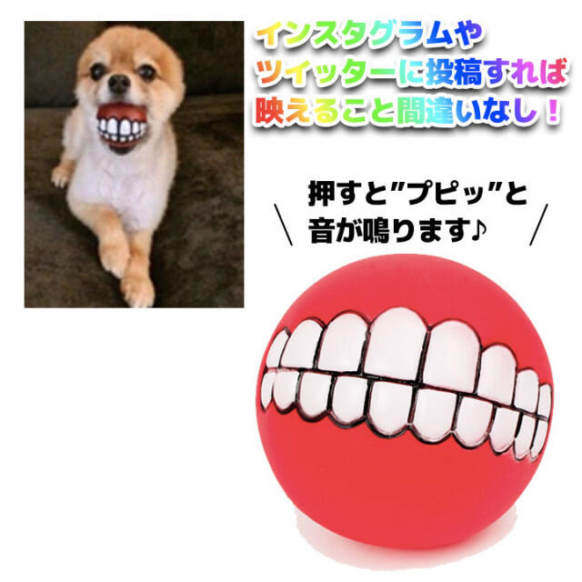 歯型 ボール 面白ボール 犬 ワンコ 笛入り おもちゃ 犬用品 玩具 ピンクの通販 By Coalabo S Shop ラクマ 歯型 ボール 面白ボール 犬 ワンコ 笛入り おもちゃ 犬用品 玩具 ピンクの通販 By Coalabo S Shop ラクマ